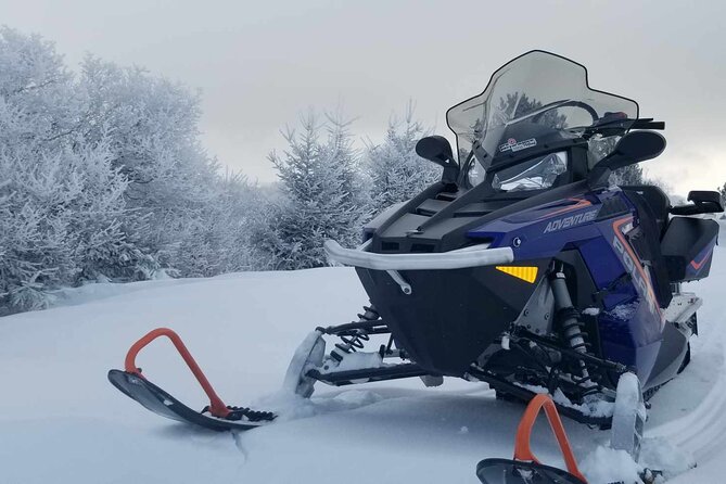 1.5-Hour Guided Snowmobiling Adventure - Tandem riding and who gets to drive