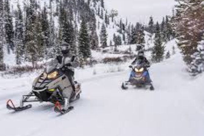 1.5-Hour Guided Snowmobiling Adventure - Best suited to first-timers, families, and couples