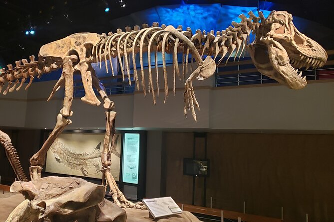 1 Day Drumheller Private Group Custom Tour: Calgary to Badlands - Key points to know before booking