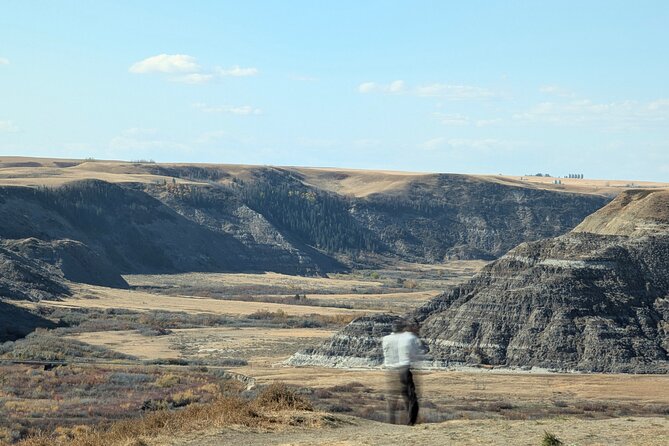 1 Day Drumheller Private Group Custom Tour: Calgary to Badlands - The World’s Largest Dinosaur and the Drumheller Valley