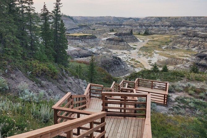 1 Day Drumheller Private Group Custom Tour: Calgary to Badlands - Atlas Coal Mine and Alberta’s working past