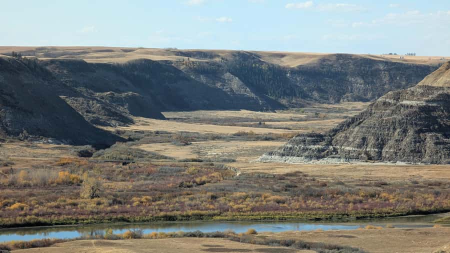 1 Day Drumheller Tour: Calgary to Hoodoos Dinosaurs Badlands - Two hours with fossils at the Royal Tyrrell Museum
