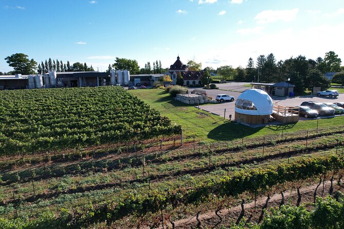 1 Hour Private Vineyard Dome Experience in Niagara-on-the-Lake - Who will enjoy this most?