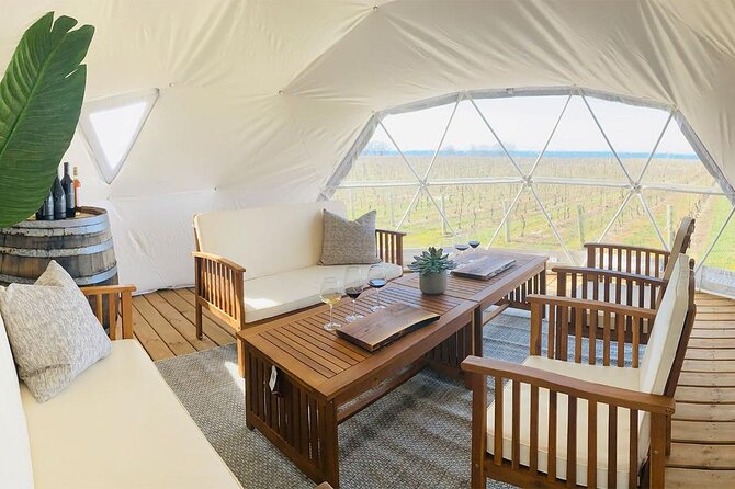 1 Hour Private Vineyard Dome Experience in Niagara-on-the-Lake - How the 60-minute tasting unfolds