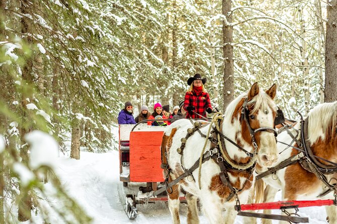 1 Hour Shared Winter Sleigh Ride Experience in Kananaskis - Key points at a glance