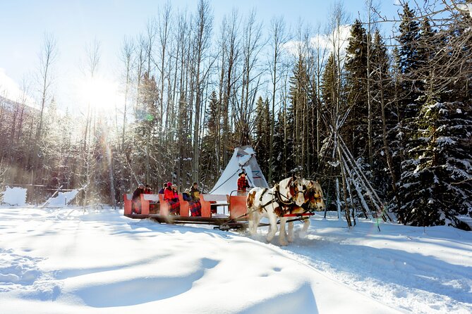1 Hour Shared Winter Sleigh Ride Experience in Kananaskis - What this Kananaskis sleigh ride is really like