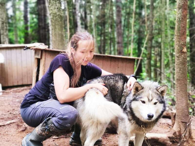 15 min. Tadoussac : Behind-the-Scenes Sled Dog Kennel Tour - Key things to know before visiting