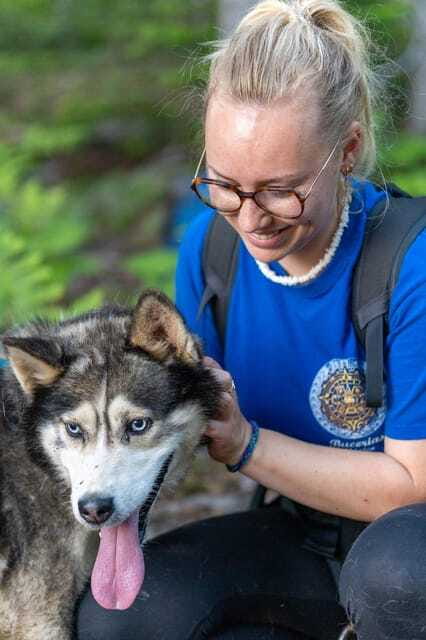 15 min. Tadoussac : Behind-the-Scenes Sled Dog Kennel Tour - Time to meet the dogs properly