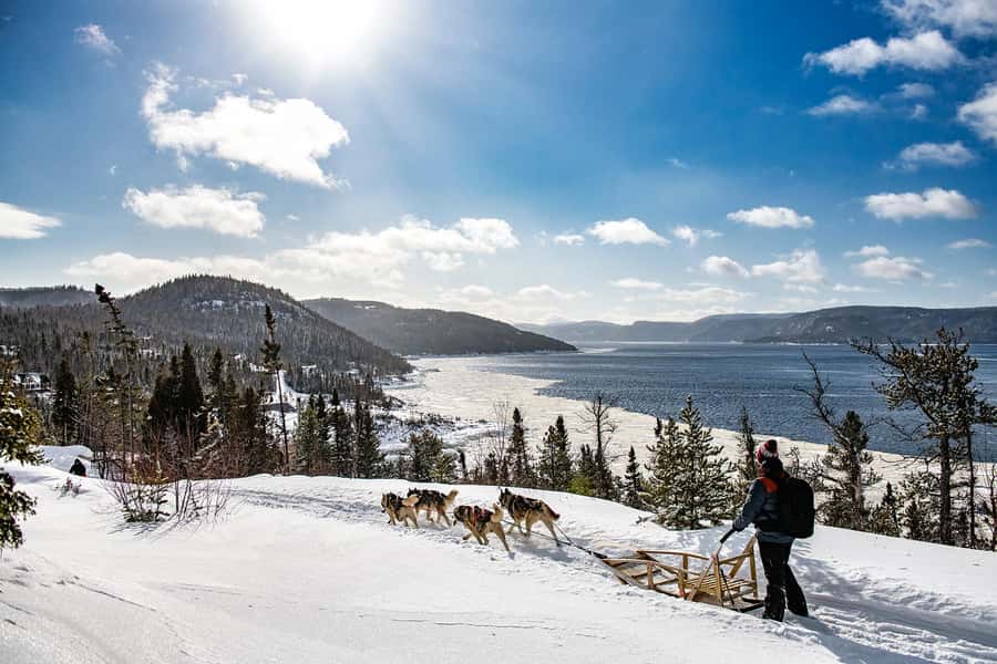 15 min. Tadoussac : Dog Sled Excursion in Saguenay Fjord - Key points to know before you book