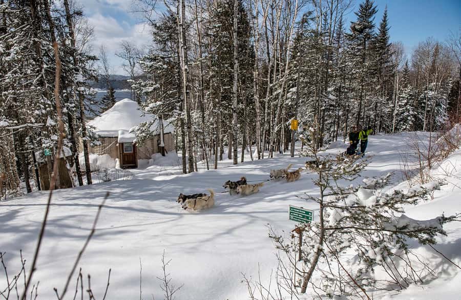 15 min. Tadoussac : Dog Sled Excursion in Saguenay Fjord - Why dog sledding fits the Saguenay Fjord