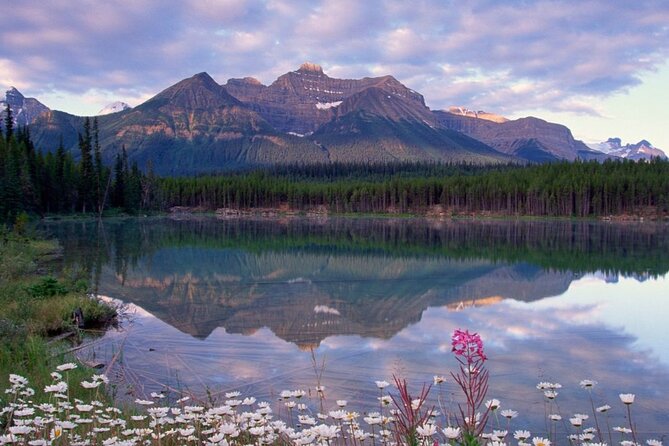 2-3 Days Lake Louise Moraine Gondola Johnston Canyon Icefield - Guides, vehicles, and the shared-tour feel