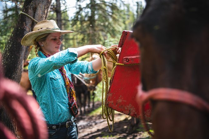 2-Day Sundance Overnight Backcountry Lodge Trip by Horseback - What kind of rider should book