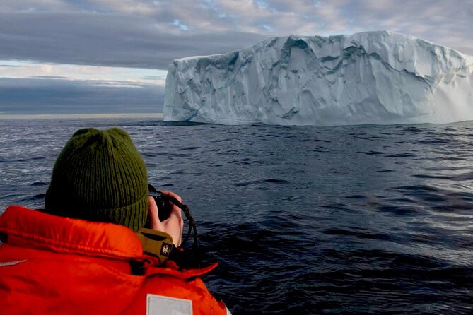 2 Hour Award-Winning Whale and Seabird Boat Tour from St. John's - Signal Hill and Cabot Tower from the sea