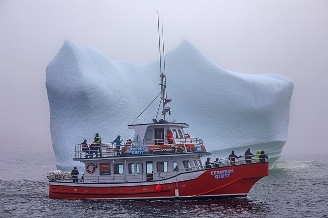 2 Hour Boat Tour in Twillingate - Chasing 12,000-year-old ice through Iceberg Alley
