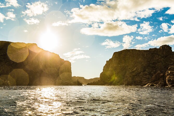 2 Hour Boat Tour in Twillingate - The crew and the feel of the outing