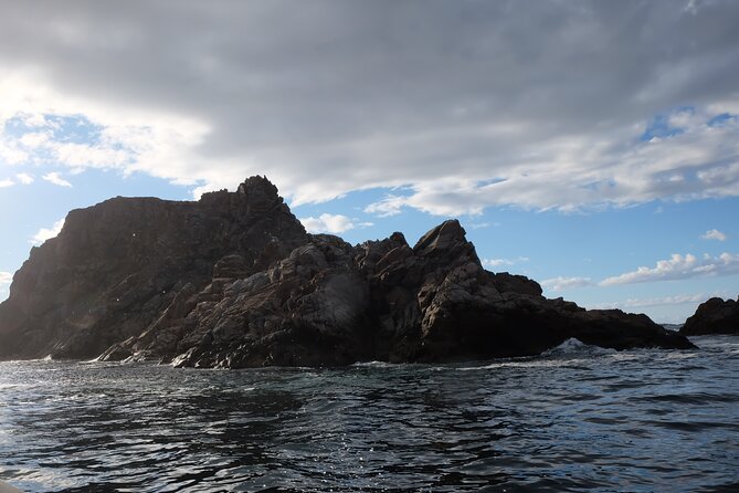 2 Hour Boat Tour in Twillingate - Who will enjoy this Twillingate boat tour?