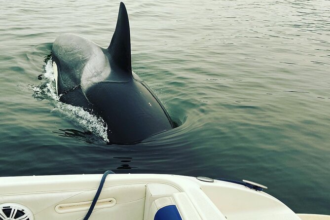 2 Hour Chartered Boat Tour from Deep Cove North Vancouver - Wildlife: possible, not guaranteed