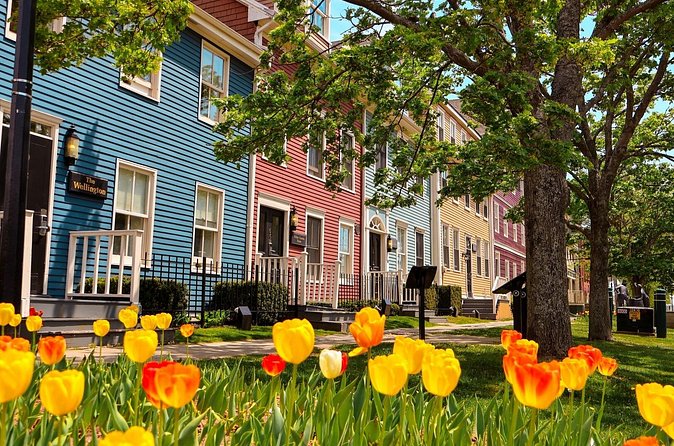 2 Hour E-bike tour of Charlottetown - Is $81.33 a fair price?