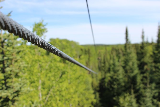 2 Hour Waskesiu Zipline Afternoon Adventure - Key points at a glance
