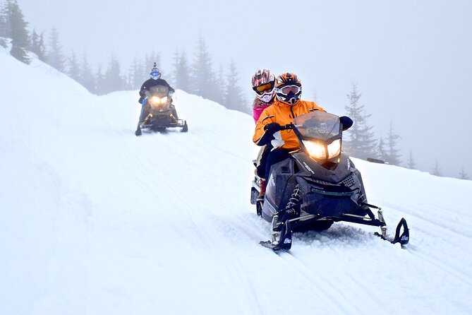 2 Hour Wilderness Adventure Snowmobile Tour in Whistler - What this Whistler snowmobile tour is really like