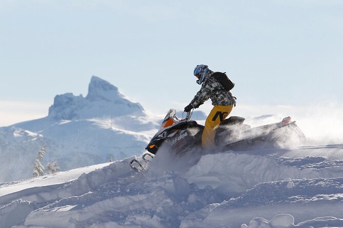 2 Hour Wilderness Adventure Snowmobile Tour in Whistler - How much value do you get for CA$202.42?