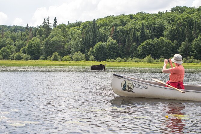 3-Day Algonquin Park Canoe Trip - What the $493.87 price really covers