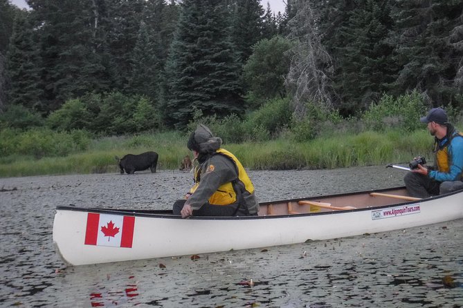 3 Day Algonquin Park Canoe Trip - Moose & Beaver Safari - Key points to know before you go