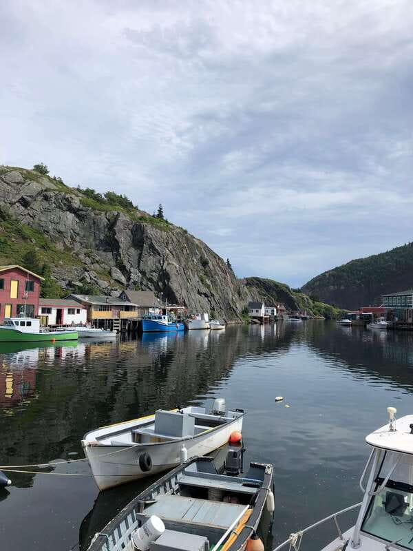 3 hour City Tour of St. John's, small group up to ten quests - Key points at a glance