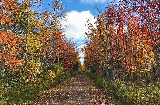 3 Hour E-Bike Tour of Charlottetown - The Confederation Trail gives you room to ride