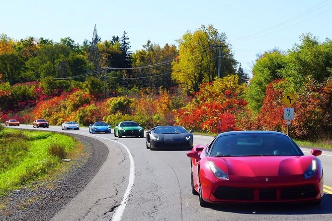 3 Hour Exotic car Tour driving 4 to 5 Super cars - Four or five supercars, not just one