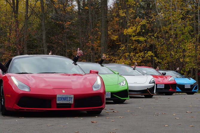 3 Hour Exotic car Tour driving 4 to 5 Super cars - Who will enjoy this experience most?