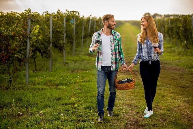 3 hours Wine Tour in Niagara-on-the-Lake - Peller Estates Winery: a polished first possibility