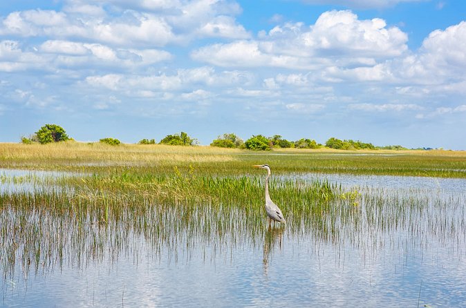 3h Boat Safari - Montreal’s Nature and Iconic Attractions Tour - Is $65.91 a fair price?