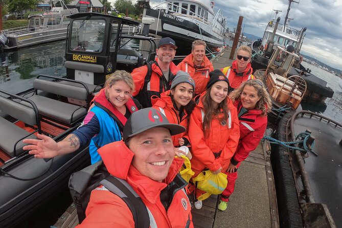 4 Hour Afternoon Whale Watching Tour - Setting Out at 1:00 pm