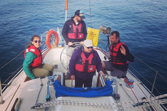 4-Hour Sailing Adventure on The Strait of Juan de Fuca - Whale watching with no promise of whales