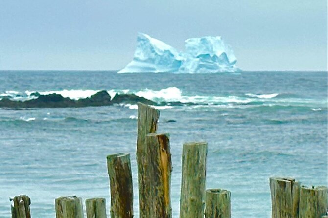 4 Hour St John’s Tour w Come From Away star (lunch included) - Petty Harbour offers a glimpse of working Newfoundland