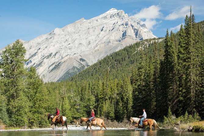 4 Hour Sulphur Mountain Horseback Ride - Meeting the horses on Spray Avenue