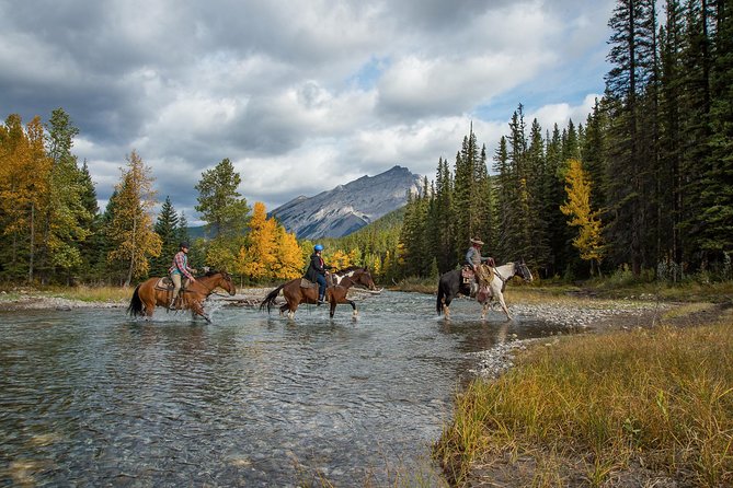 4 Hour Sulphur Mountain Horseback Ride - Past the golf course to Bow Falls