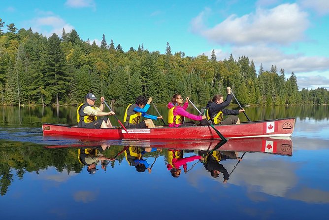 6 Hour Algonquin Park Canoe Trip - Key points to know before you go