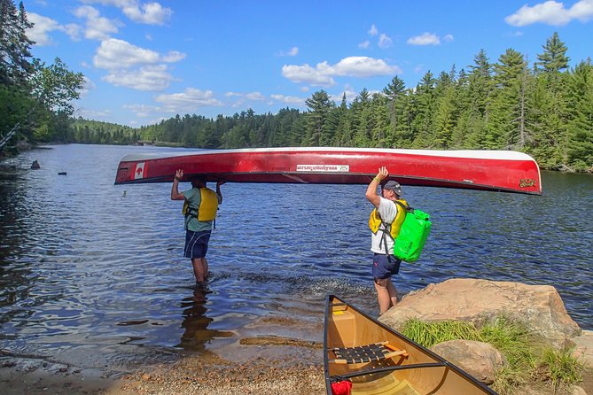 6 Hour Algonquin Park Canoe Trip - Wild foods, birds, turtles, and the chance of moose