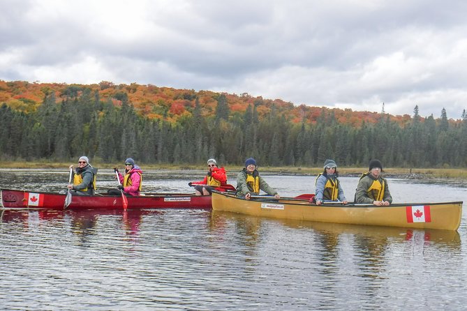 6 Hour Algonquin Park Canoe Trip - Guides, group size, and the feel of the day