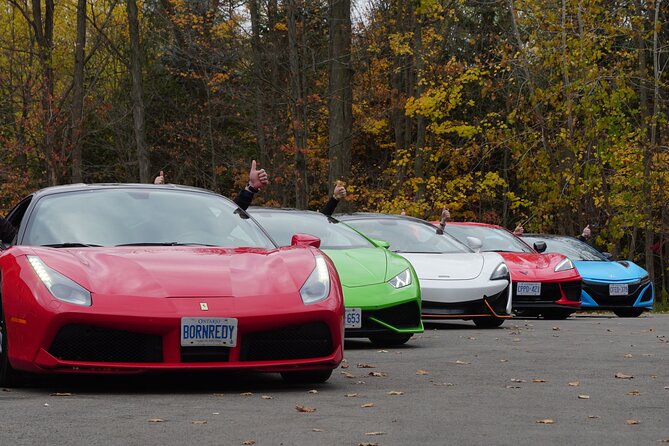 6 Hour Exotic Car Tour driving 6 Super cars + Lunch - Caledon Hills roads and changing scenery