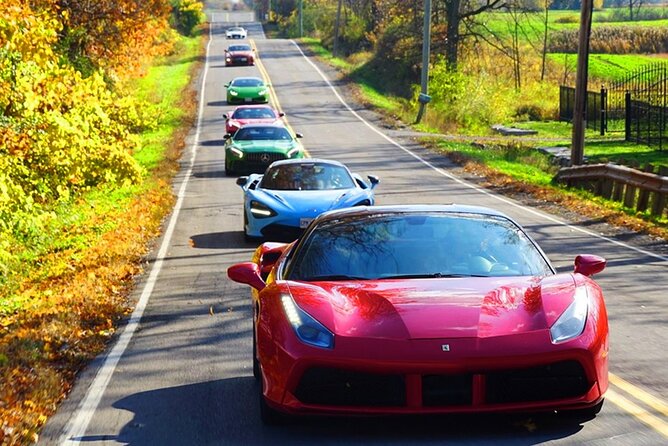 6 Hour Exotic Car Tour driving 6 Super cars + Lunch - Who will enjoy this experience most?