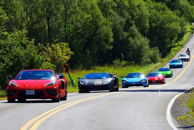 6 Hour Exotic Car Tour driving 6 Super cars + Lunch - Booking, weather, and the important fine print