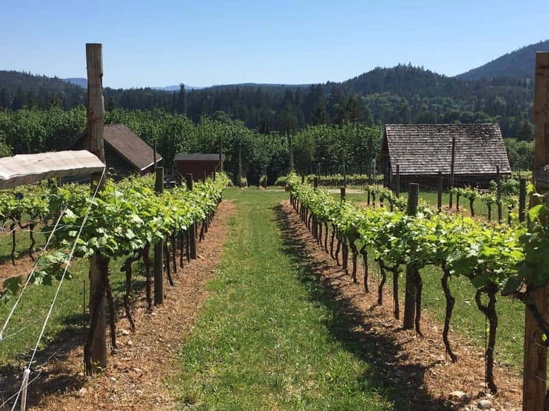 6-Hour Victoria to Cowichan Wine Tour - Key points to know before booking
