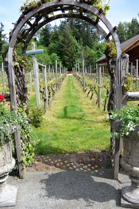 6-Hour Victoria to Cowichan Wine Tour - How much value do you get for $127?