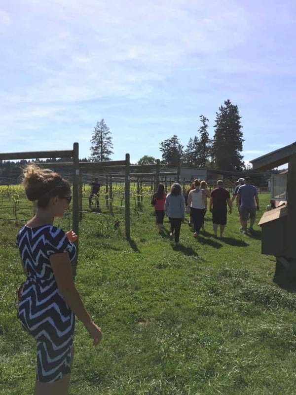 6-Hour Victoria to Cowichan Wine Tour - 10:40 AM at the Malahat lookout