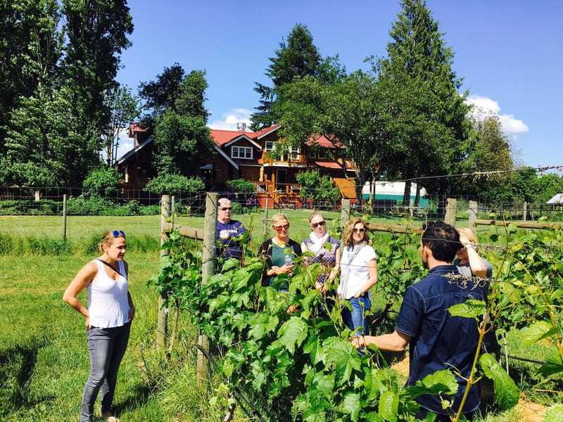 6-Hour Victoria to Cowichan Wine Tour - 1:45 PM at Unsworth, with a behind-the-scenes choice