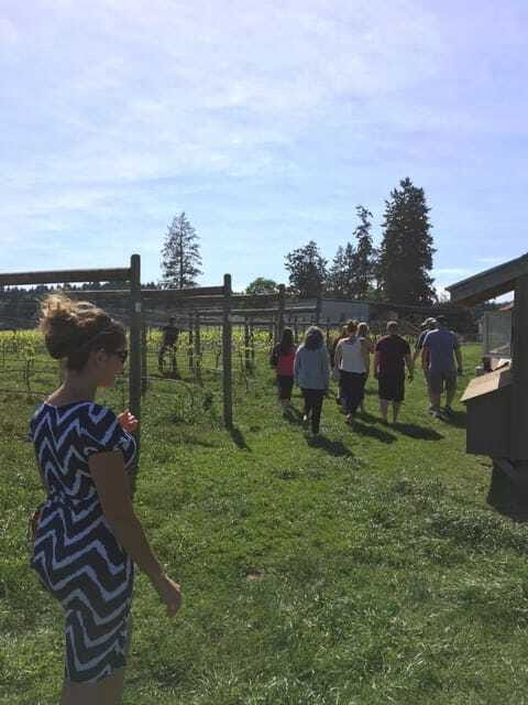 6-Hour Victoria to Cowichan Wine Tour - 3:00 PM departure and the timing question