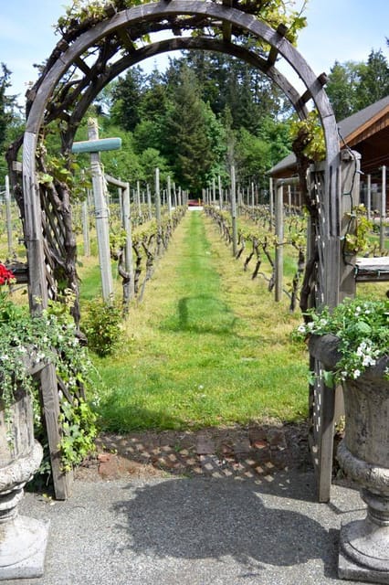 6-Hour Victoria to Cowichan Wine Tour - What the guide adds to the day